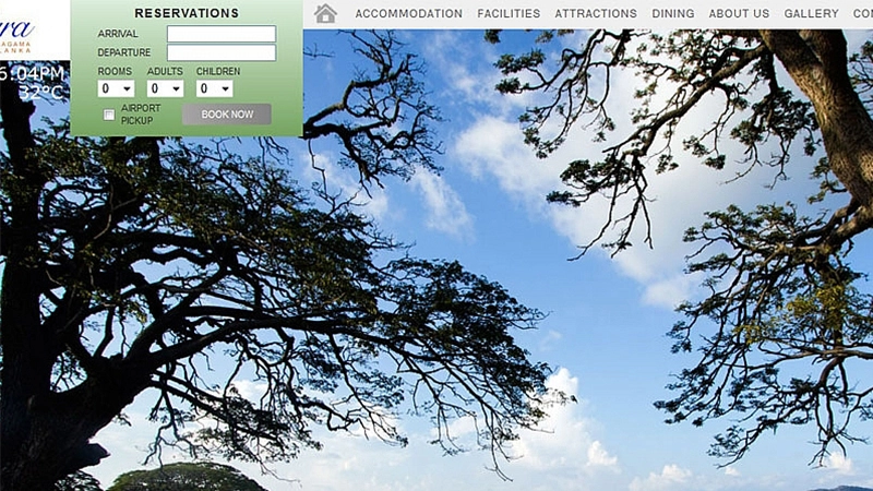 Mandara Rosen Launches New Website
